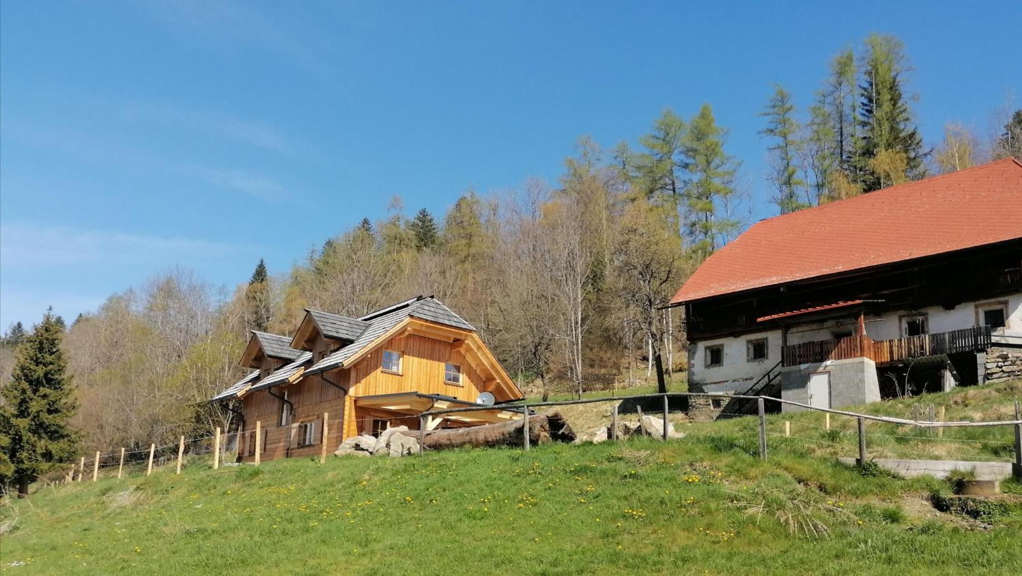 Villa Laerchenhaus ,,Unterer Brodl" Sankt Peter am Kammersberg Exterior foto