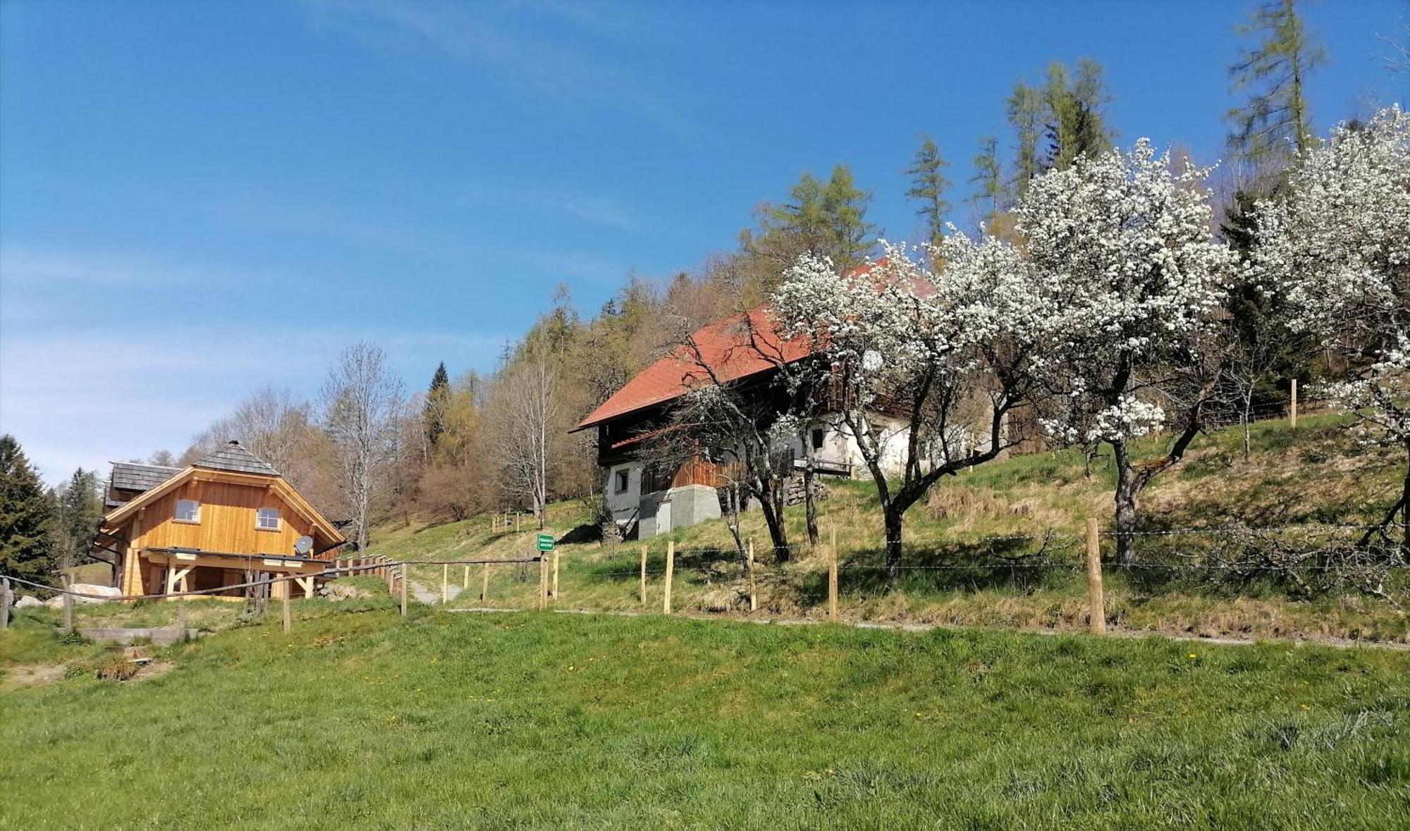 Villa Laerchenhaus ,,Unterer Brodl" Sankt Peter am Kammersberg Exterior foto