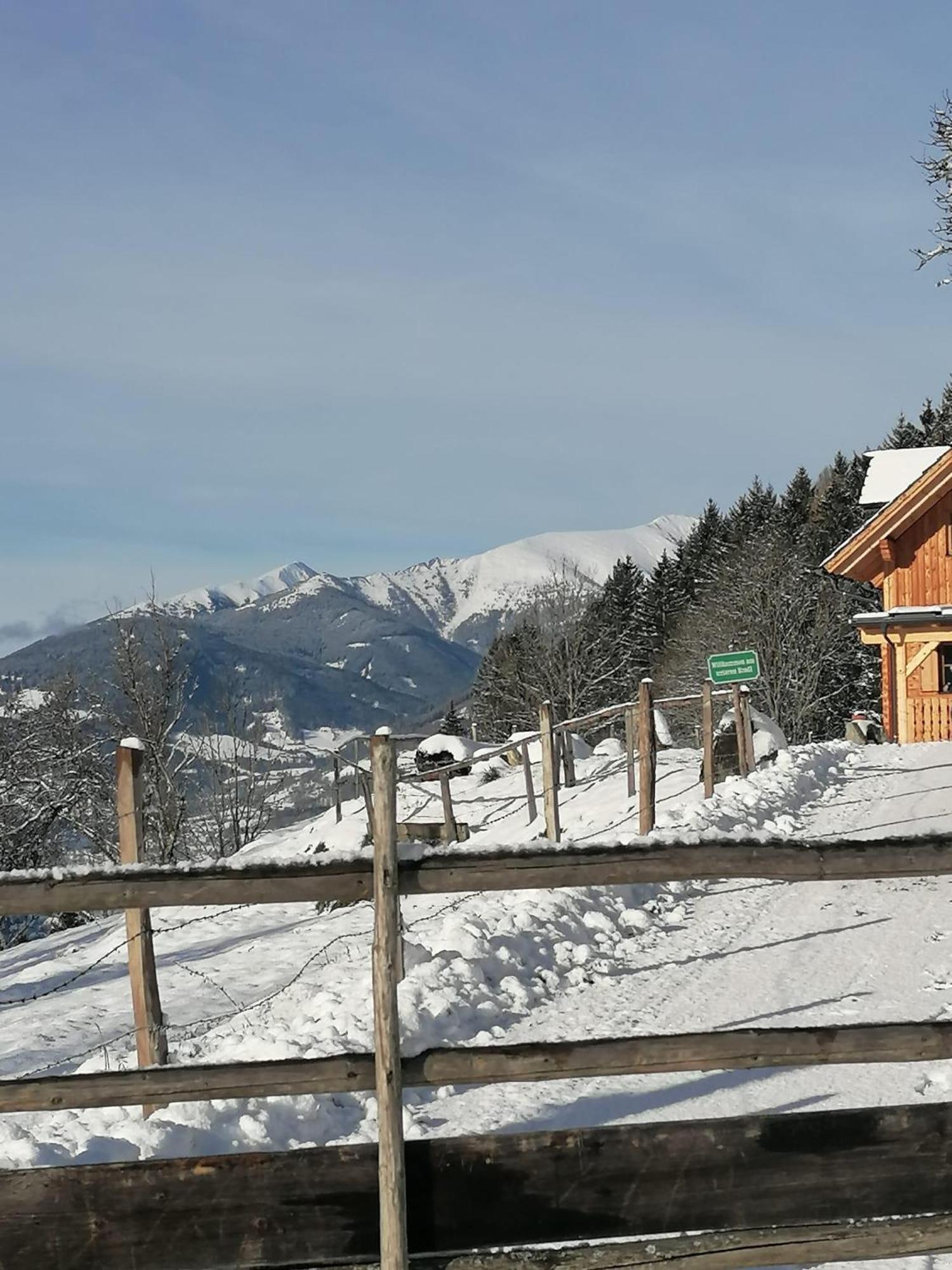 Villa Laerchenhaus ,,Unterer Brodl" Sankt Peter am Kammersberg Exterior foto